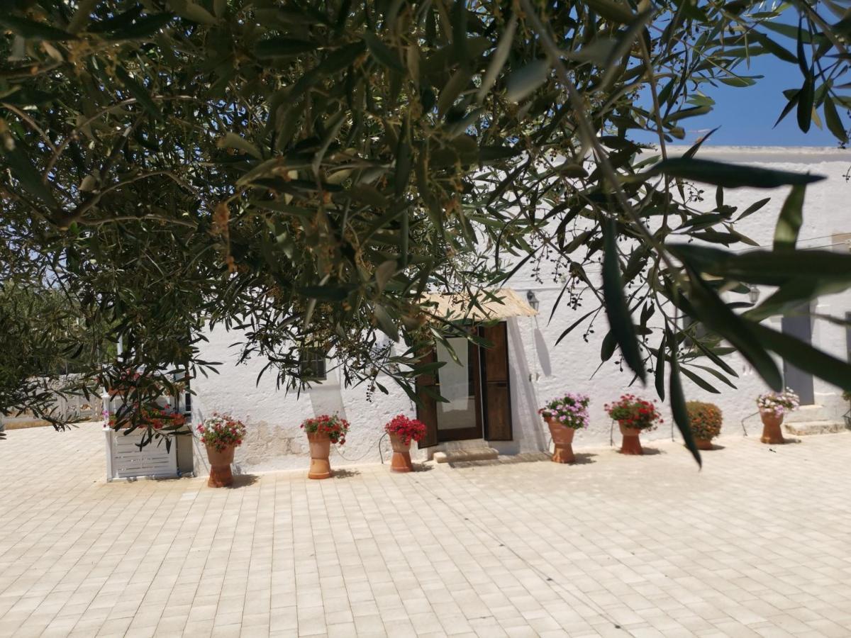 Profumo Di Terra Apartment *
